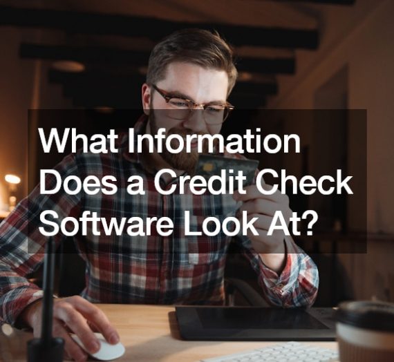 What Information Does a Credit Check Software Look At?